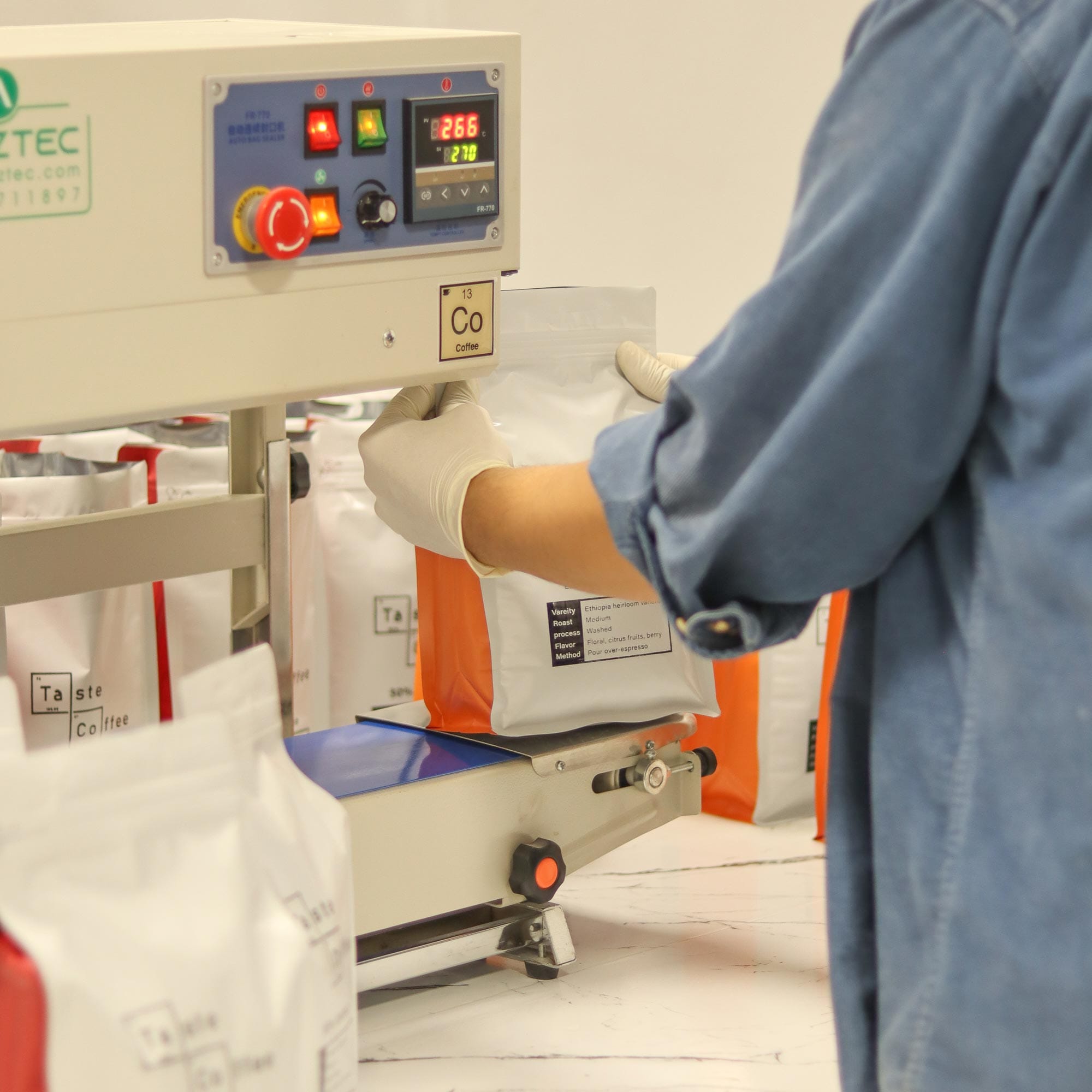 برشته کاری تیست کافی 2