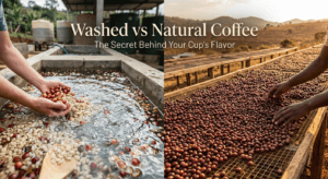 image 50 - قهوه تیست